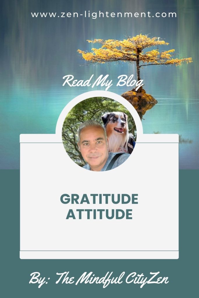 Gratitude Attitude: Cultivating Positivity in Everyday Life